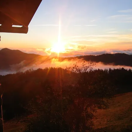 Gostisce In Stari Vrh בית הארחה